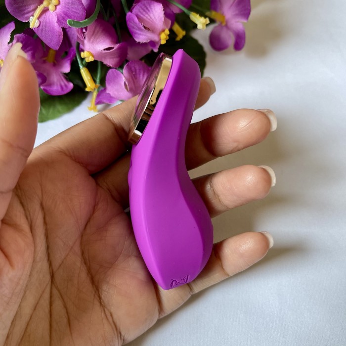 Vibrador de Calcinha 9 Vibrações Controle Remoto 
